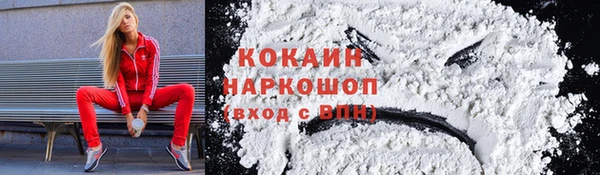 мдпв Кулебаки
