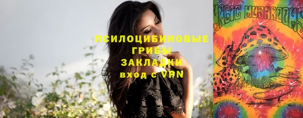 амф Менделеевск
